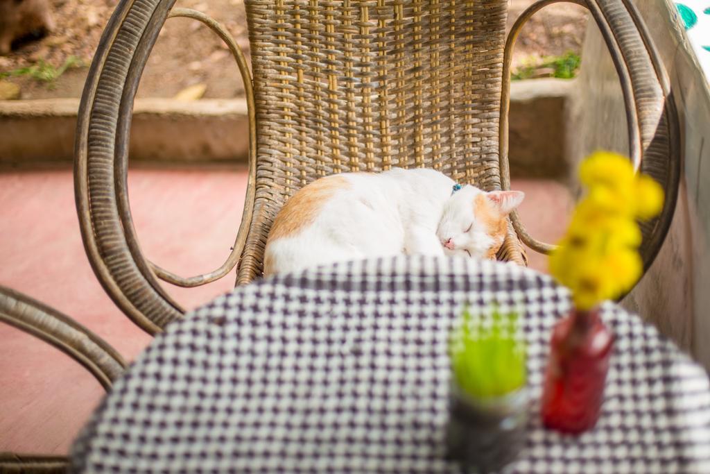 Baan Kati Sod Otel Pai Dış mekan fotoğraf